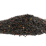 Nutritional Value of Black Mustard Seeds (Calories, Vitamins & Minerals)