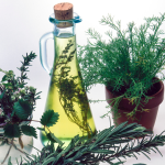 How to Use Rosemary Oil for Hair Growth