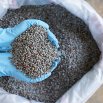 Humic Acid vs Chemical Fertilizers: Which Is Better?