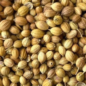 Coriander Whole