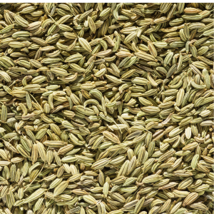 Fennel Whole