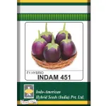 Brinjal Indam 451 Hybrid Seeds – 10 Gram Pack | High Yield F1 Hybrid Eggplant/Brinjal Seeds for Home & Commercial Farming