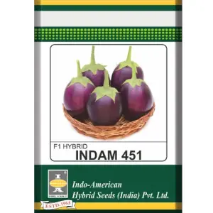 Brinjal Indam 451 Hybrid Seeds – 10 Gram Pack | High Yield F1 Hybrid Eggplant/Brinjal Seeds for Home & Commercial Farming
